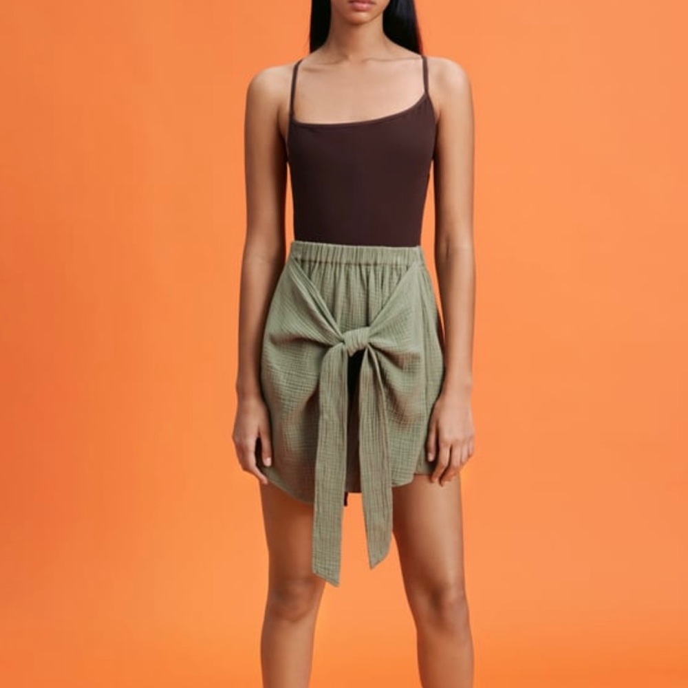 Zara Skirt NWT